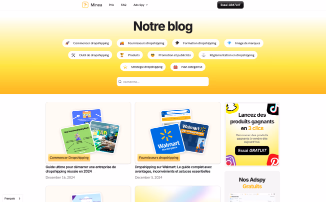 Aperçu du site Minea