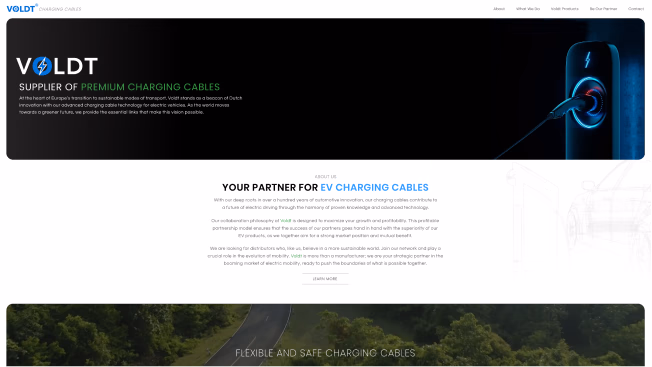 VOLDT Website Preview